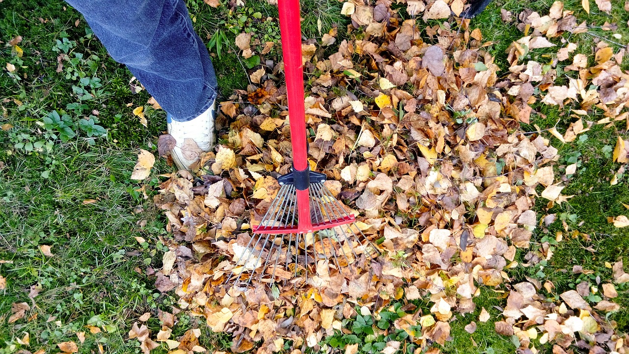 raking, fall, autumn-2756006.jpg